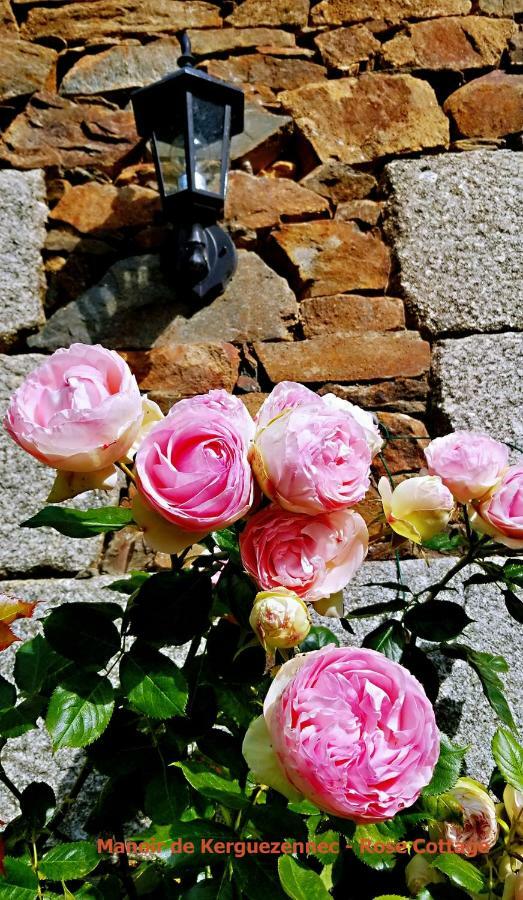 Rose Cottage Pontrieux Exterior foto